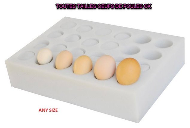 Espuma para 30 huevos de gallina