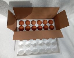 Cajas de huevos de gallina 100% poliestireno
